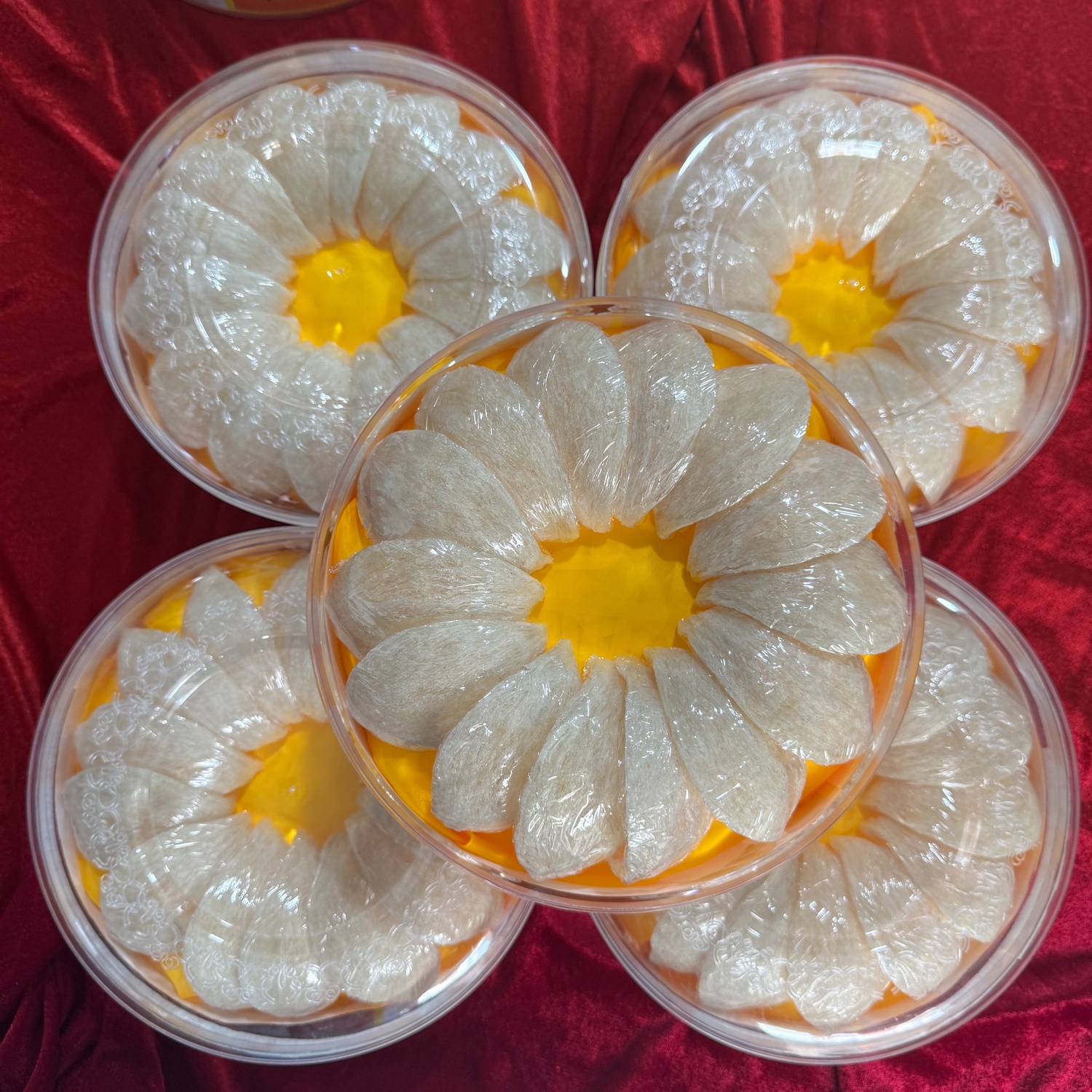 Yến Sào Tinh Chế Phổ Thông 100g